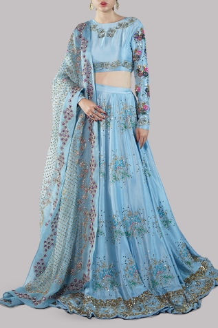 Baltic Sea Lehenga Choli Embellished Set