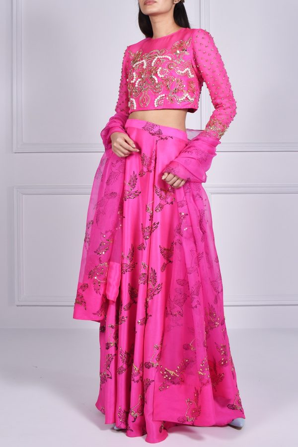 Diva Pink Embellished Blouse Skirt Dupatta Set - Image 4