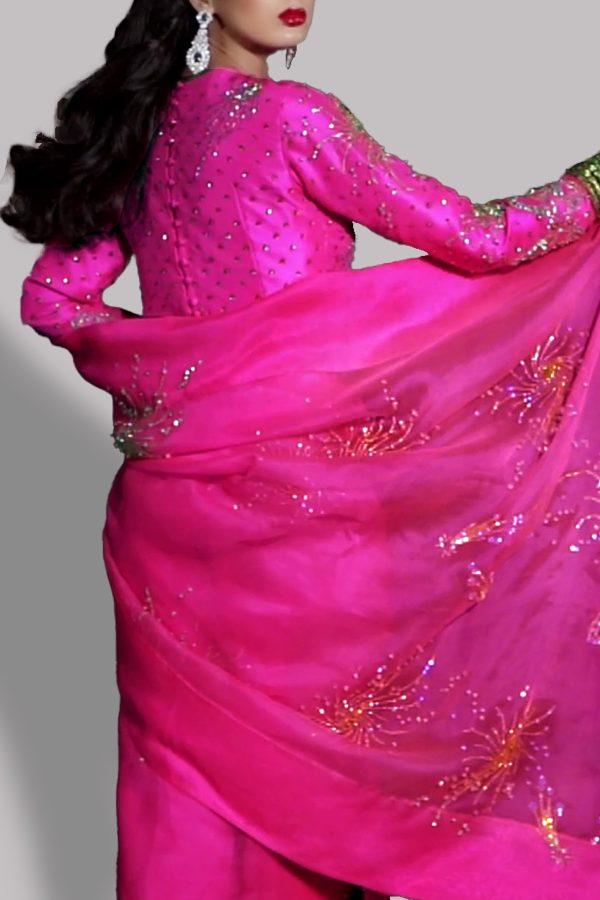 Diva Pink Embellished Organza Sari - Image 3