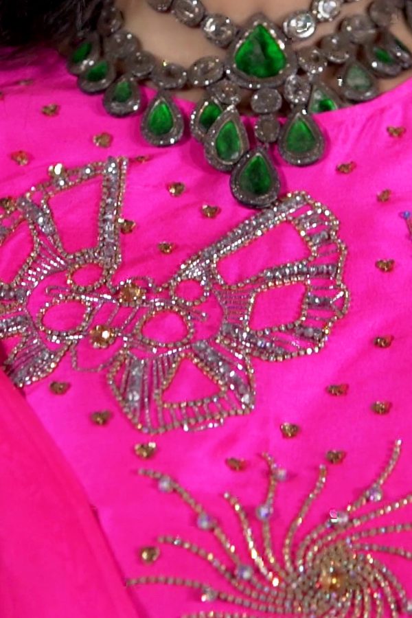 Diva Pink Embellished Organza Sari - Image 4