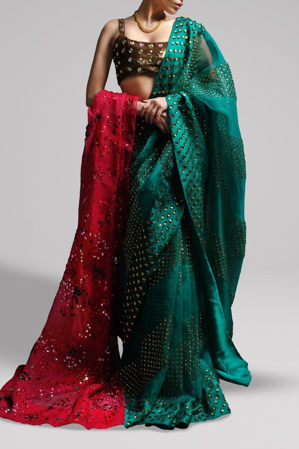 Shady Glade Embellished Organza Sari - Image 4