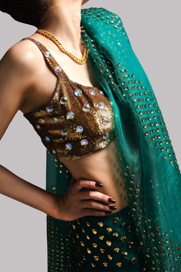 Shady Glade Embellished Organza Sari - Image 2