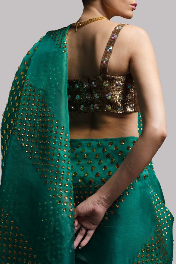 Shady Glade Embellished Organza Sari - Image 3