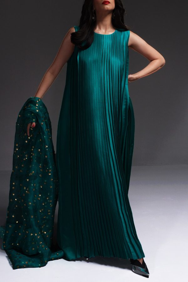 Shady Glade Pleated Raw Silk Maxi with Embellished Dupatta - Image 2