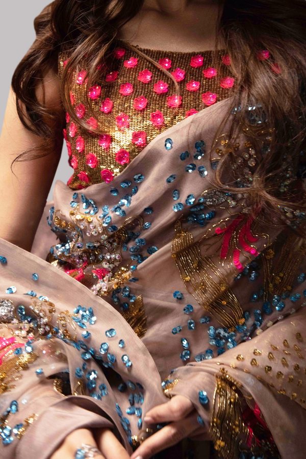 Rugby Tan Embellished Organza Sari - Image 3