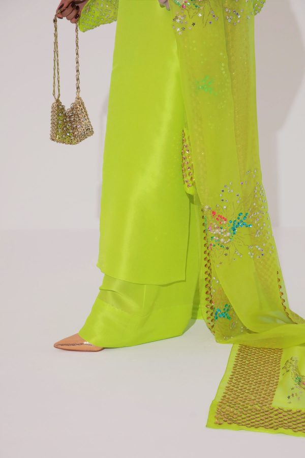 Lime Punch Embellished Raw Silk Set - Image 3