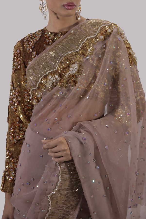 Cameo Rose Embellished Organza Sari - Image 3