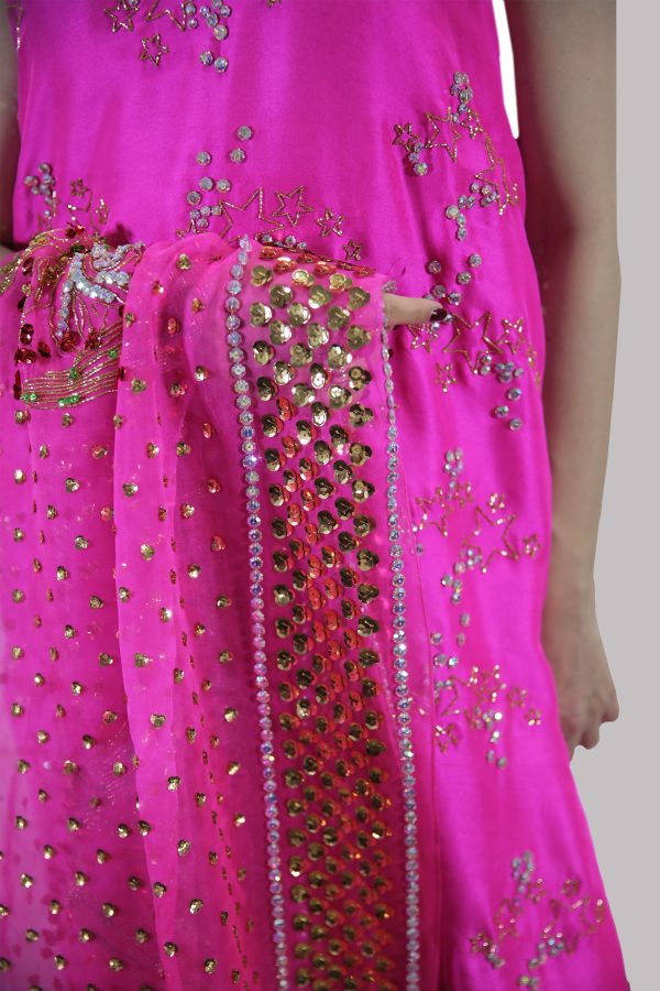 Diva Pink Embellished Raw Silk Set - Image 4