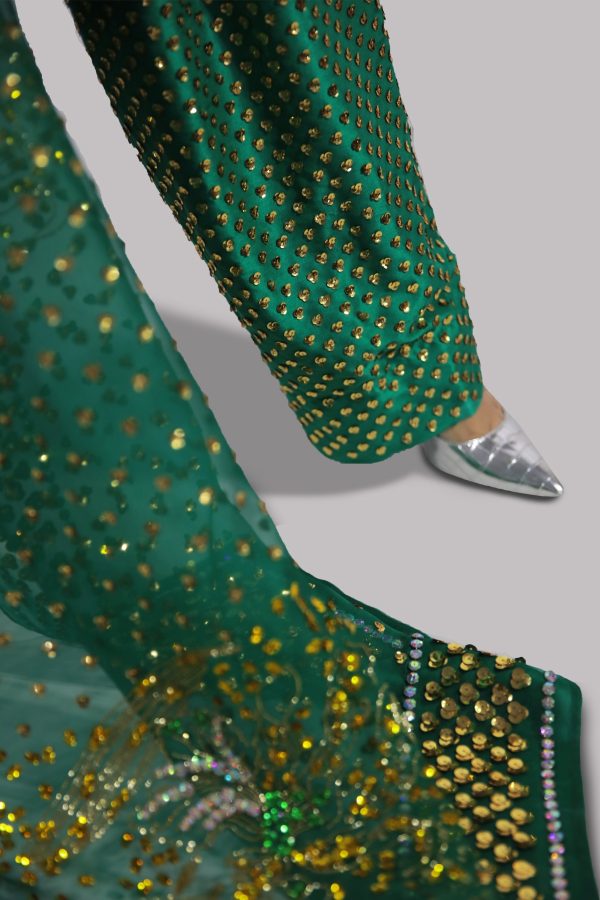 Emerald Green Embellished Raw Silk Set - Image 4