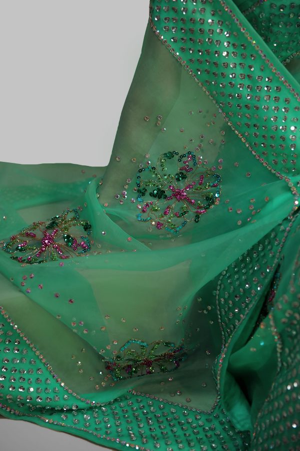 Spring Bud Embellished Organza Sari - Image 3