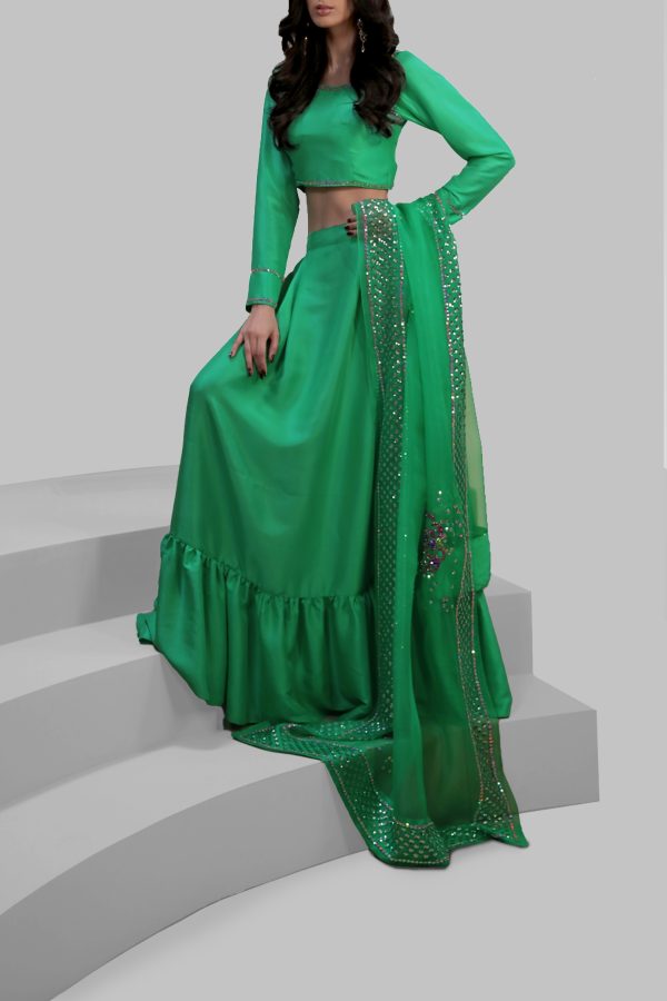 Spring Bud Embellished Lehenga Choli Set