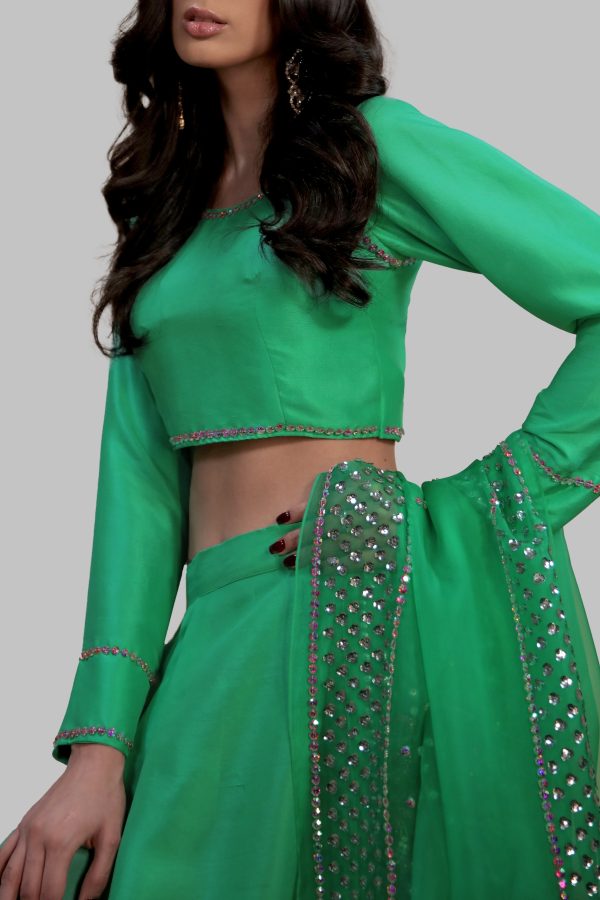 Spring Bud Embellished Lehenga Choli Set - Image 2