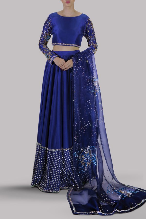 Blueprint Embellished Lehenga Choli Set