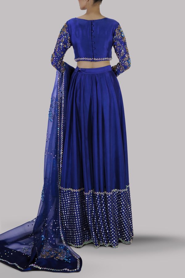 Blueprint Embellished Lehenga Choli Set - Image 3