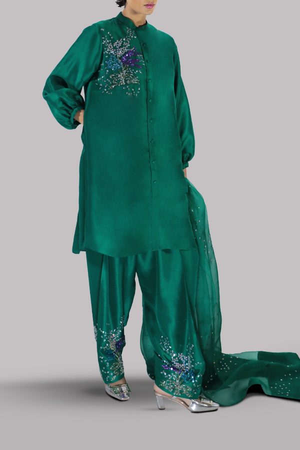 Galapagos Green Embellished Raw Silk Set