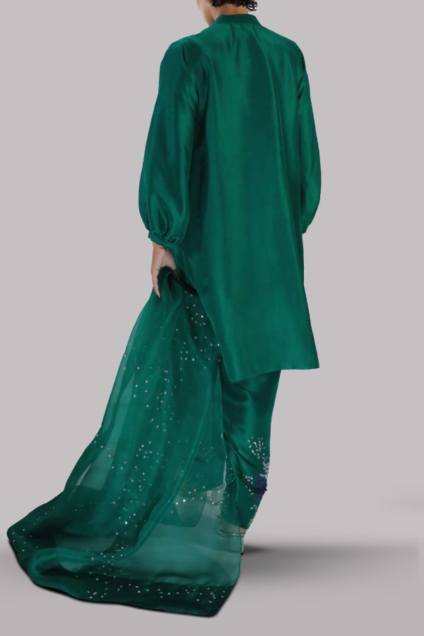 Galapagos Green Embellished Raw Silk Set - Image 3