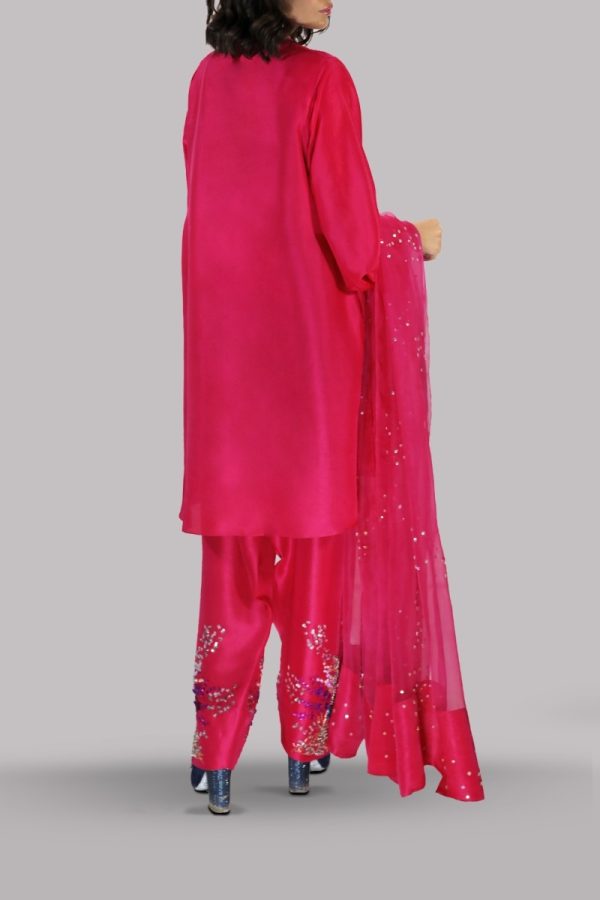 Virtual Pink Embellished Raw Silk Set - Image 4