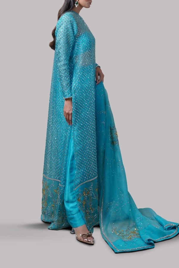 Scuba Blue Embellished Organza Maxi Set - Image 2