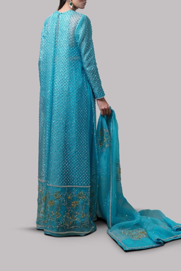 Scuba Blue Embellished Organza Maxi Set - Image 3