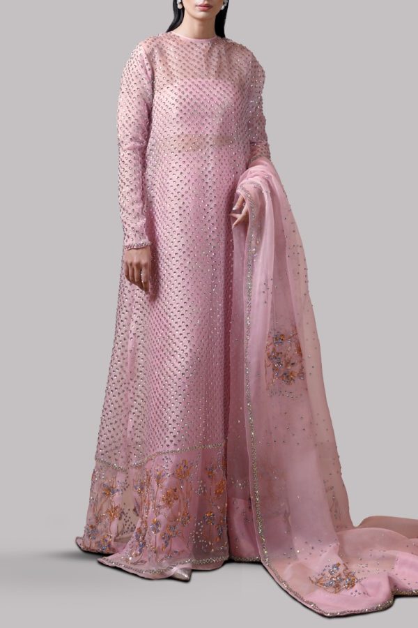 Tickled Pink Embellished Organza Maxi Set