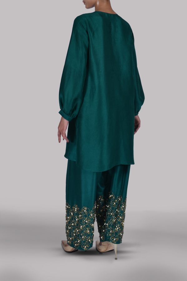 Galapagos Green Embellished Raw Silk Set - Image 3