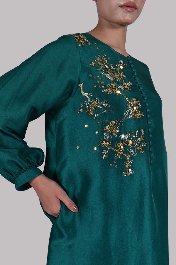 Galapagos Green Embellished Raw Silk Set - Image 4