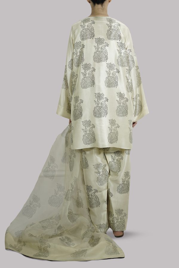 Lamb's Wool Embellished Raw Silk Set - Image 3