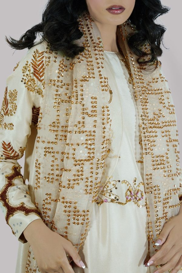 Lamb's Wool Embellished Gharara Set - Image 4