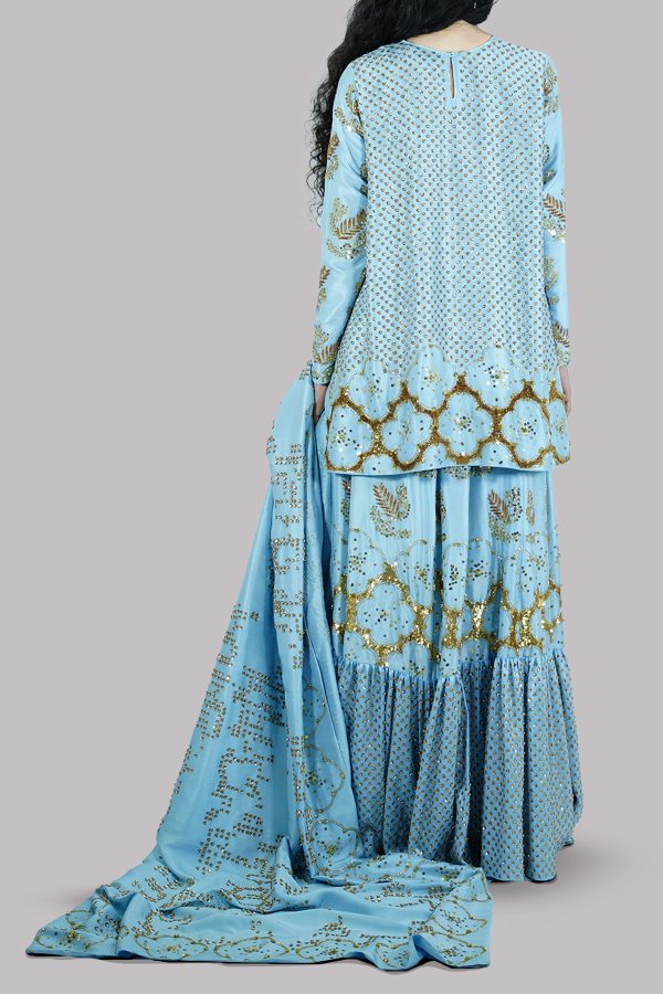 Heritage Blue Embellished Skirt Set - Image 3