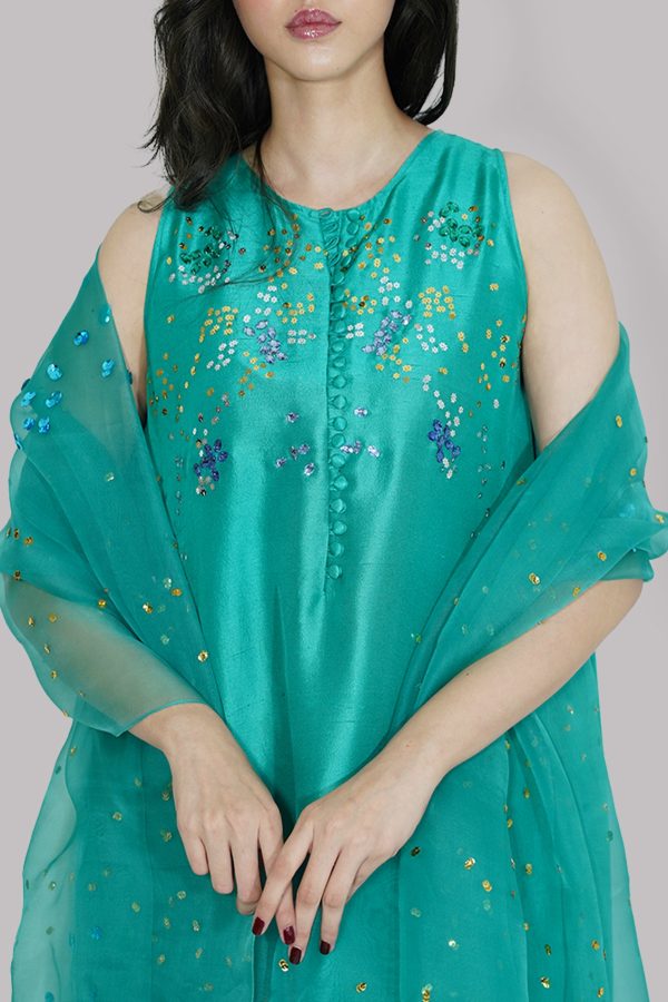 Spectra Green Embellished Maxi Set - Image 4