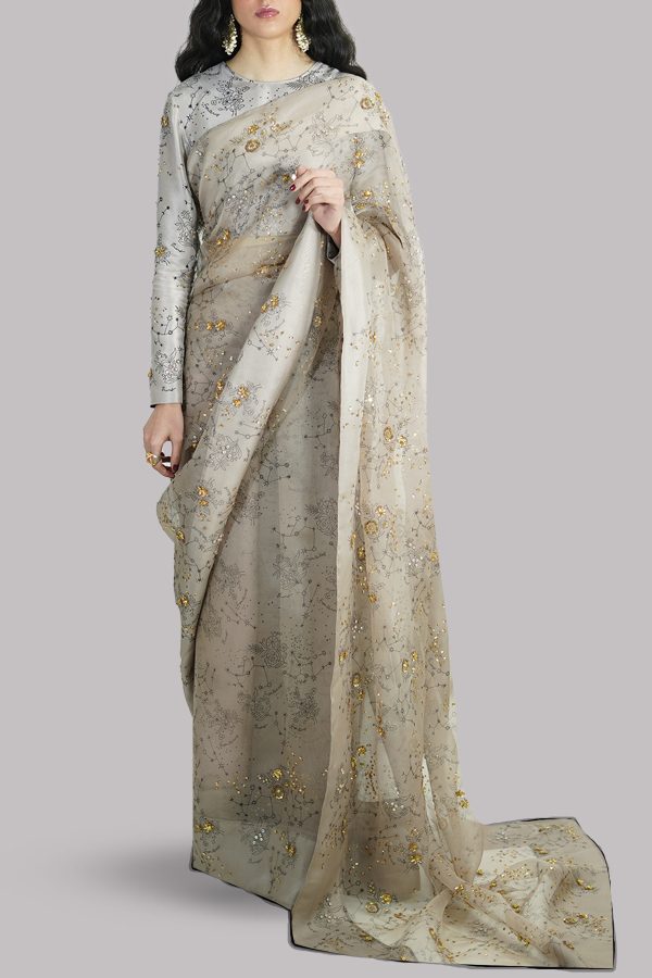 Simply Taupe Block-Printed Embellished Sari