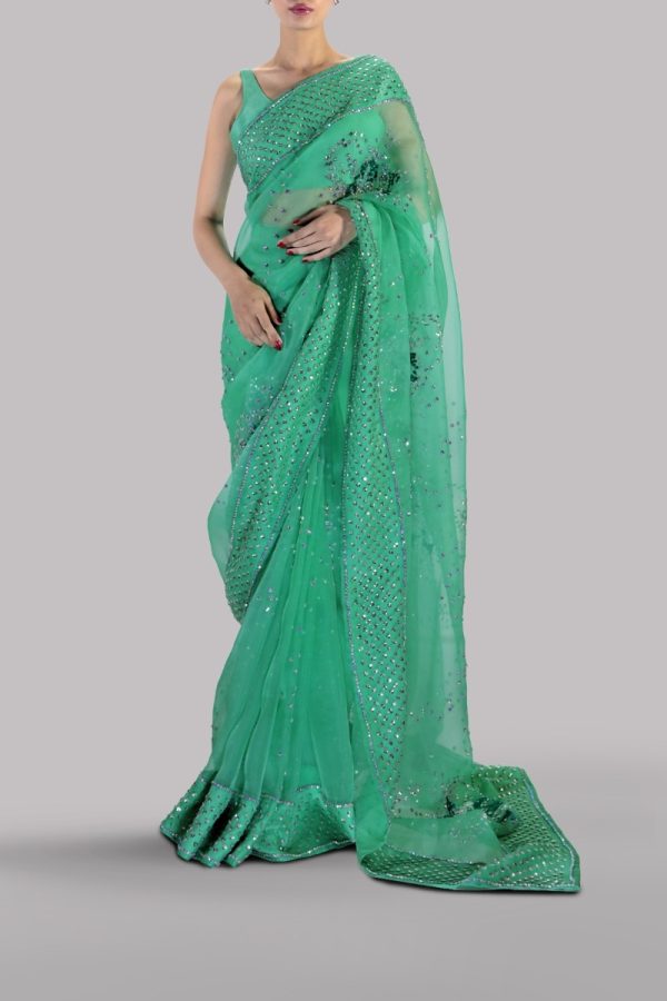 Spring Bud Embellished Organza Sari