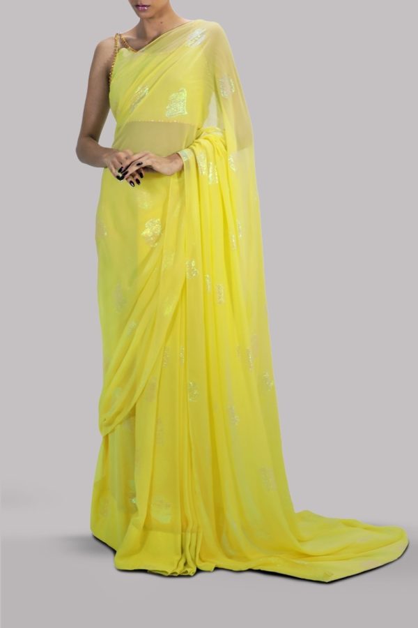 Illuminating Chiffon Sari