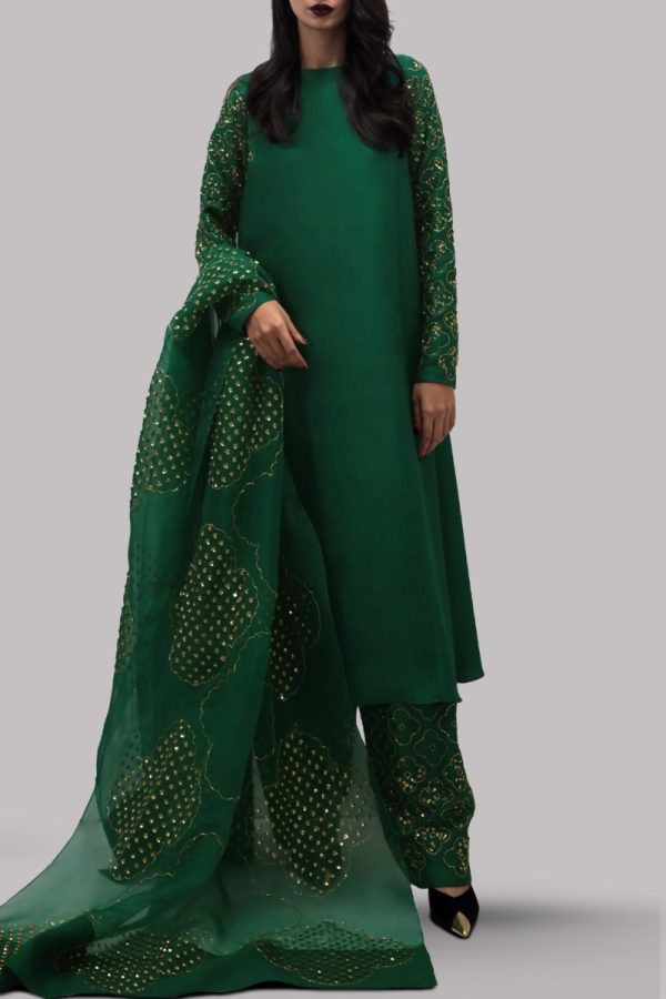 Galapagos Green Embellished Raw Silk Set