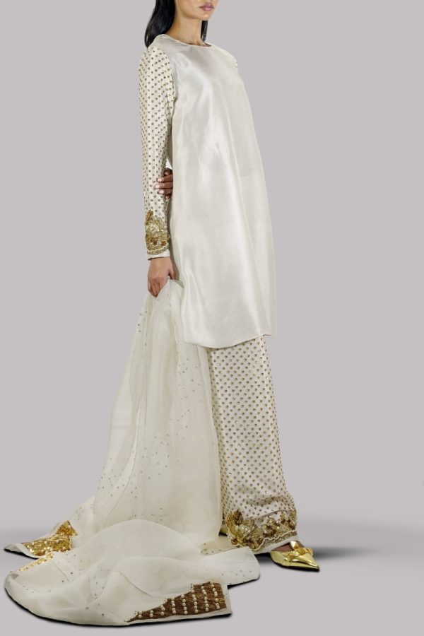 Egret Embellished Raw Silk Set