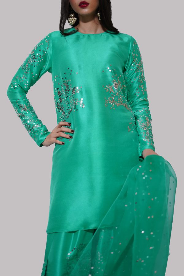 Mint Green Turquoise Embellished Raw Silk Set - Image 4